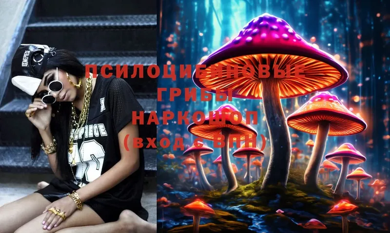 как найти закладки  Кимры  Псилоцибиновые грибы Magic Shrooms 